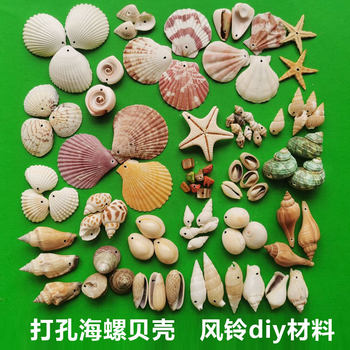 Natural Conch Shell Punched Kindergarten Handmade DIY Wind Chime Accessories Material with Holes Colorfulful Shells Small