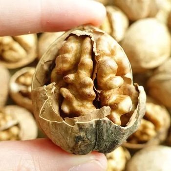 Xinjiang free shipping Xinjiang Aksu specialty 185 paper walnut 3kg wholesale and retail origin supply direct supply