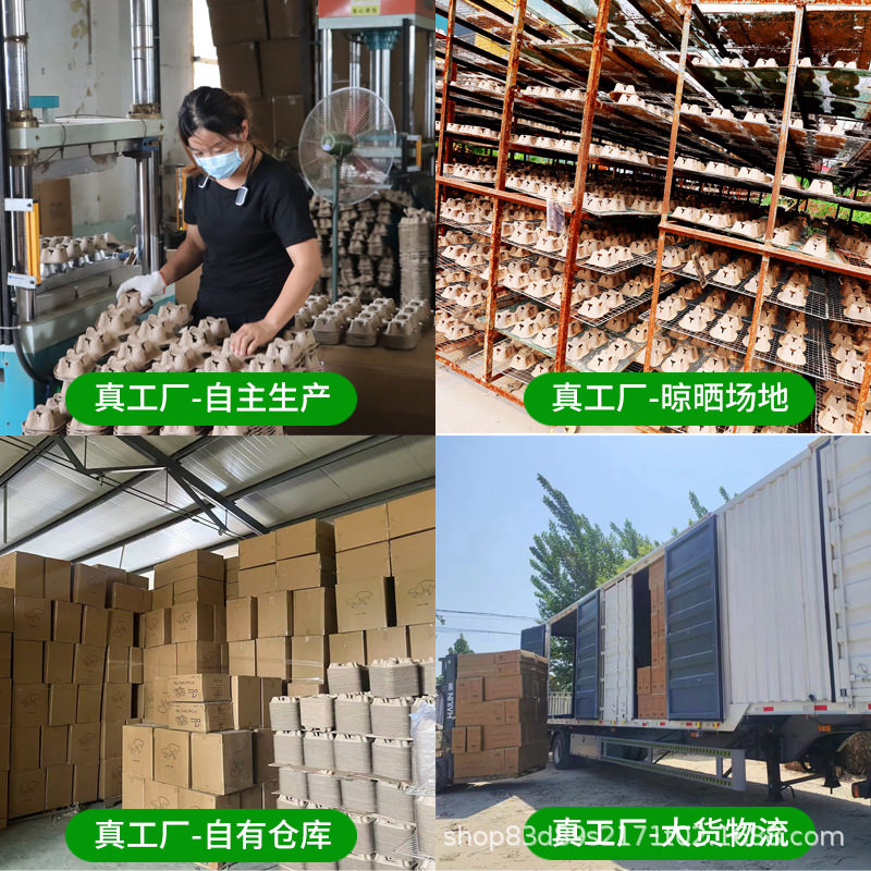 Biodegradable Thickened Pulp Egg Trays, Various Styles of Egg Packaging Liners Made of Sugarcane Pulp, Environmentally Friendly and Earthquake-Resistant