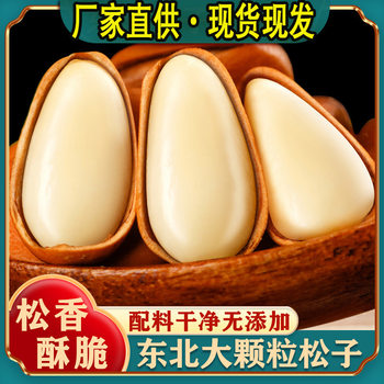 New Arrival Net Weight Original Flavor Northeastern Open Pine Nuts 500g Wholesale Hand-Peeled Red Pine Nuts New Year Goods Fresh Kernels Open Pine Nuts