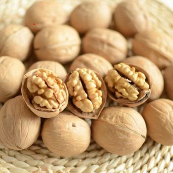 Xinjiang Thin-Shell Walnut Wholesale Snack Shop Dried Fruit Nuts Dropshipping Original Raw Walnuts