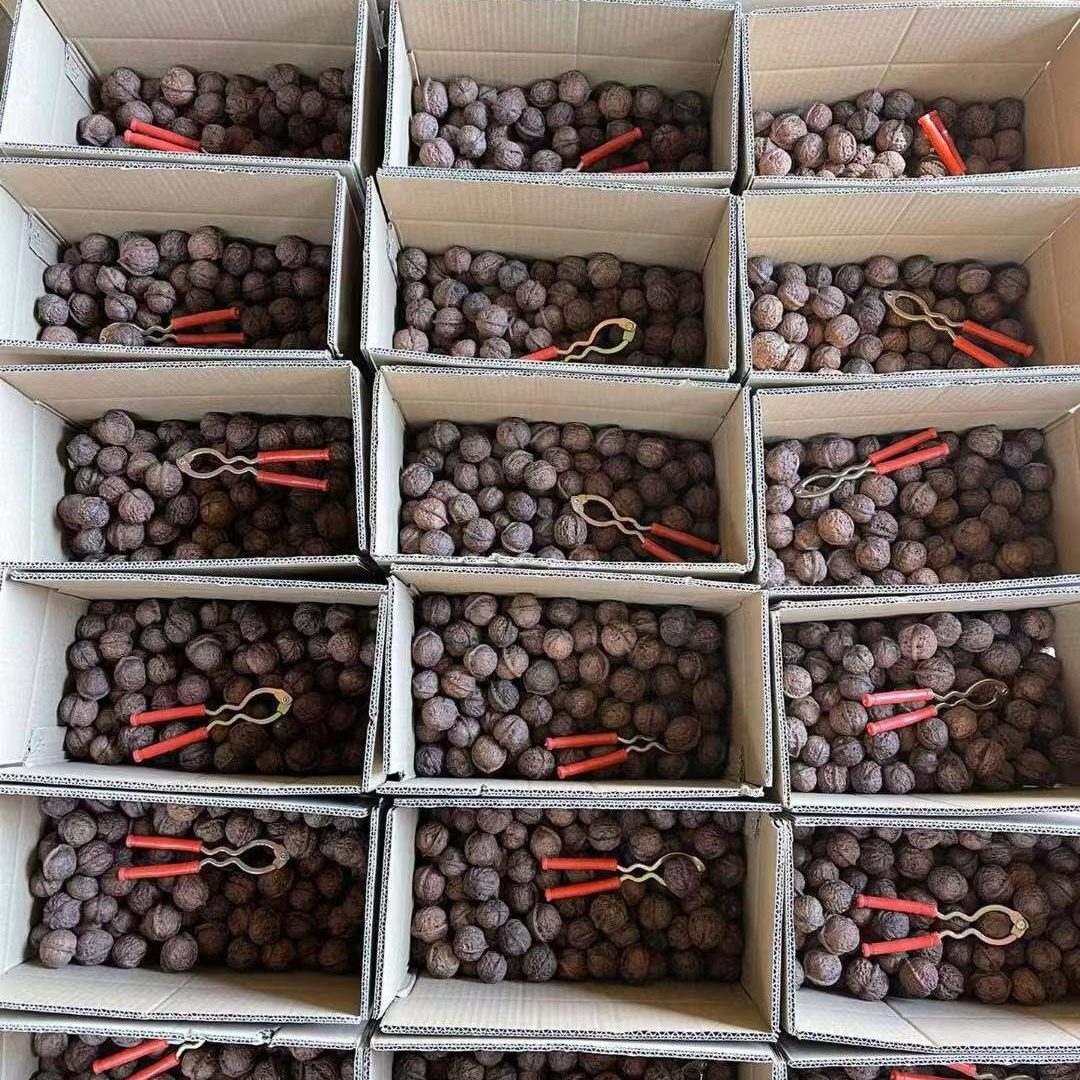 Yunnan High Mountain Thin-Skinned Walnuts, Paper-Skinned Walnuts, Large Nuts, Dried Walnuts, Large-Sized Walnuts, Autumn Walnuts