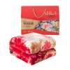Winter Raschel Blanket Double Thickened Flannel Blanket Group Buying Gift Box Blanket Cloud Blanket Wholesale