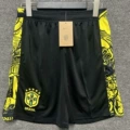 2024 Brazil Special Edition