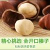 Big Hazelnut Northeast Specialty Tieling New Products No Add Fresh Original Fried Open Hazelnut Pregnant Women Snack Nuts