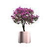 Langting Outdoor Stainless Steel Flower Box Customized Landscape Improvement Cultural Luminous High Survival Maintenance-Free Flower Box Flower Trough