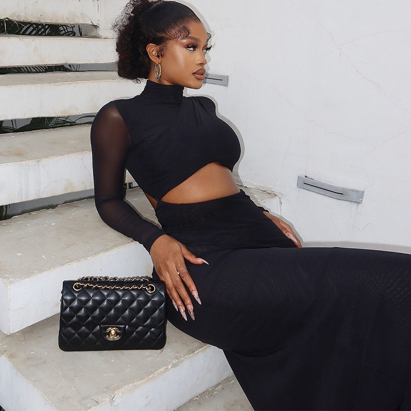 Fashionable Womens Solid Color Dress Sheer Mesh Paneling Long Sleeve High Neck Elegant Fit Perfect for Parties or