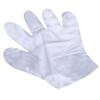 Disposable Gloves Catering Food Household Transparent Pe Plastic Thin Kitchen Gloves Edible Sanitary Gloves Wholesale