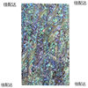 Shell Pieces 14*24 Non-Bendable Orange Green Blue Red Purple Mexican New Zealand Abalone Mother-Of-Pearl Hard Mother-Of-Pearl