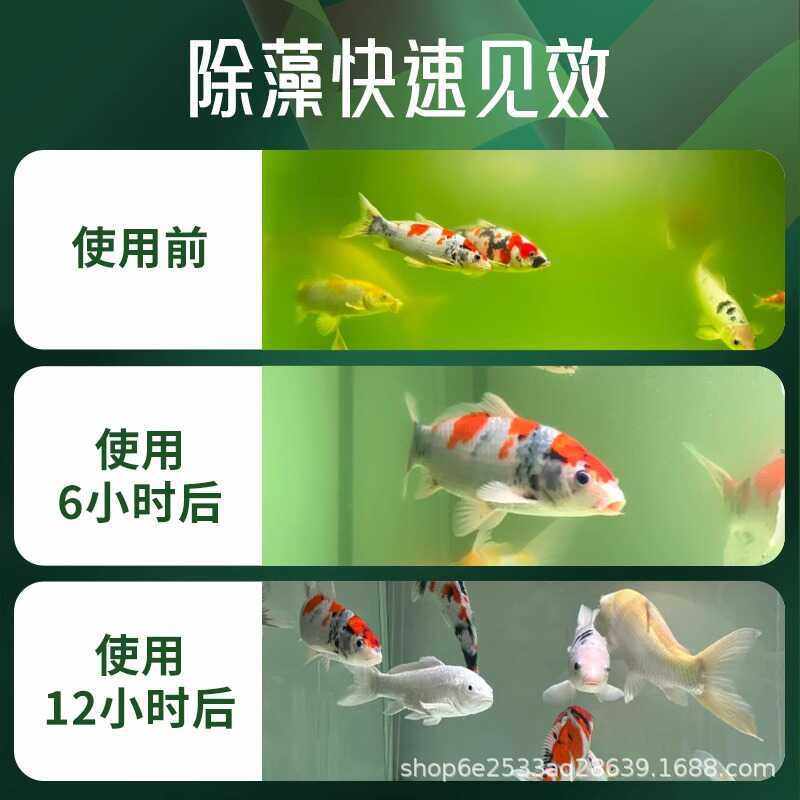Fish Tank Algae Removal Salt, Algae Removal, Water Mildew Disease, Soft Water Salt, Fish Tank Algae Removal King, Fish Tank Algae Removal Water, Ornamental Fish