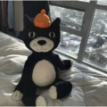 Geely cat 60cm