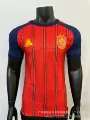 Player 2627 spain home double star champions