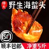 Wild Jellyfish Head 2.5kg Barrel Specialty Jellyfish Skin Cold Jellyfish Non-Instant Commercial Use