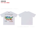 2920 washed white
