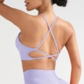 Light purple (bra)