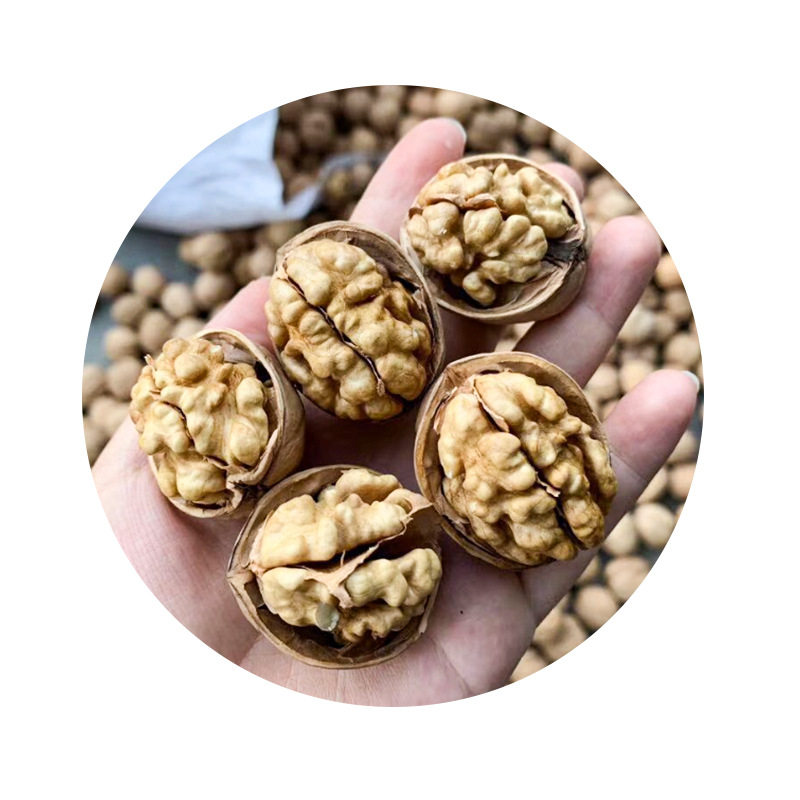 Walnut Wholesale Street Stall Exhibition Nut Snacks Snacks Souvenirs Dry Goods Food Xinjiang 185 Paper-Skinned Walnuts