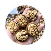 Walnut Wholesale Street Stall Exhibition Nut Snacks Snacks Souvenirs Dry Goods Food Xinjiang 185 Paper-Skinned Walnuts