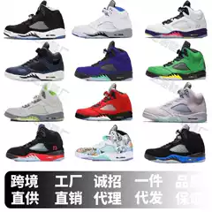 Jordan Sneakers Air Jordan 5