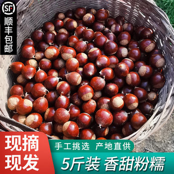 2025 Fujian Jian'Ou Specialty Fresh Chestnuts, Raw Chestnuts, Fresh Oil Chestnuts, High Mountain Farm Freshly Picked Hazelnuts, Sugar-Fried Chestnuts