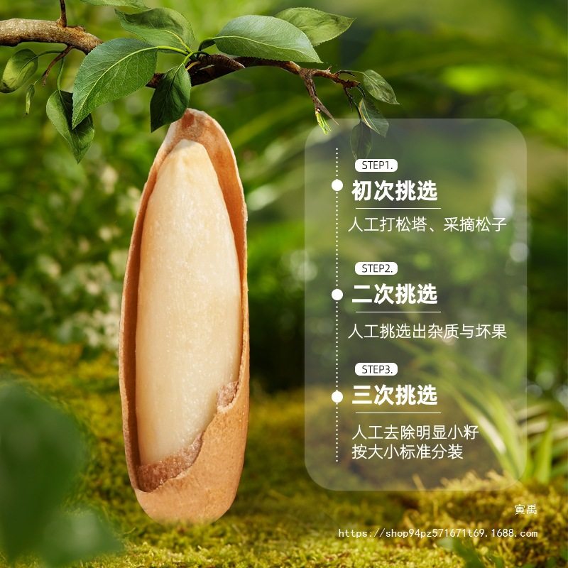 Brazilian Pine Nuts Hand-Peeled Long-Grain 500g New Arrival 2025 Flagship Store Specialty Grade Large-Grain Snacks Afghan Nuts