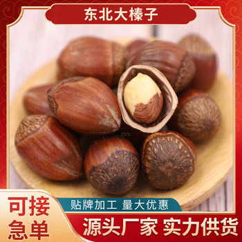 New Northeastern Large Hazelnuts Original Thin-Skinned Large Fruit Hazelnut Nuts Dried Fruit Casual Snacks Wholesale Dropshipping