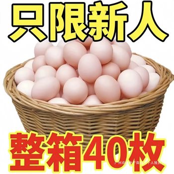 Farmhouse Nutritious Postpartum Eggs with Damaged Cordyceps, Farmyard Eggs with Full-Year Coverage, Free-Range Eggs, Fresh Eggs