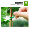 Garden Tie Wrap Plastic-Coated Wire Ties for Binding Flower Supports, Rose Climbing Plant Fixing Rope, Garden Tie