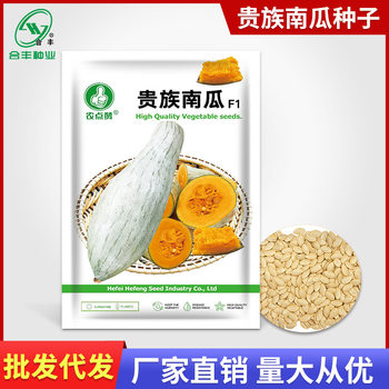 Xinjiang Noble Pumpkin Seeds Desert Ugly Pumpkin Seeds Chestnut Flavor Pumpkin Seeds Hefeng Seed Industry Manufacturer Wholesale