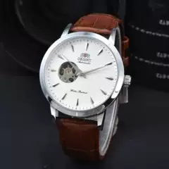 2025 Popular Foreign Trade Products High Quality Men's Watches Mechanical Lion Watches Manufacturers Wholesale Dropshipping