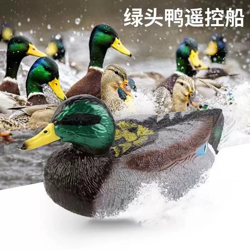 เรือบังคับระยะไกลข้ามประเทศ รูปเป็ด ของเล่นไฟฟ้าสัตว์น้ำ 2.4g เรือเป็ด Mallard ของเล่นเรือสปีดโบ๊ทบังคับระยะไกล