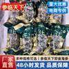 Authentic Dalian Ready-To-Eat Sea Cucumber, Not Dried, Chewy Texture, Fresh Steamed Sea Cucumber, Ready-To-Eat Gift Box, Frozen Sea Cucumber