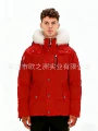 red(white fur)