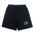 N21 cotton