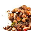 Spicy Sea Melon Seeds Ready-To-Eat Canned Sea Screws and Sea Cones Freshly Caught and Ready to Drink Seafood Snacks Late Night Snacks Wholesale
