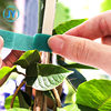 Hot Plant Climbing Vine Green Plant Bundle Velcro Velcro Belt Garden Plant Flower Shape Back-to-Back Fixed Strap