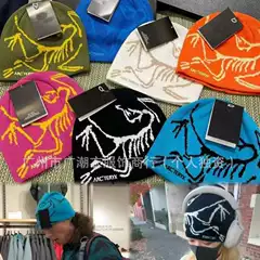 25 New Autumn and Winter In-Stock Birdhouse Hats Versatile Warm Knit Hats Embroidered Warm Birdhouse Hats Wool Hats