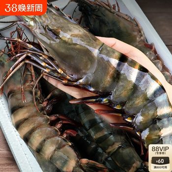 Beihaiwan Extra Large Black Tiger Shrimp 600g*3 Boxes Extra Large Fresh Prawns Tiger Shrimp Shrimp New Seafood