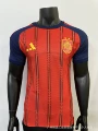 Player 2627 spain home double star champions