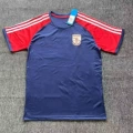 Arsenal fans 6