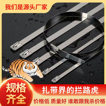 304 Stainless Steel Cable Ties 4.6*200 Self-Locking Metal Cable Ties Marine Quick-Release Buckle White Steel Binding Bridge Rack
