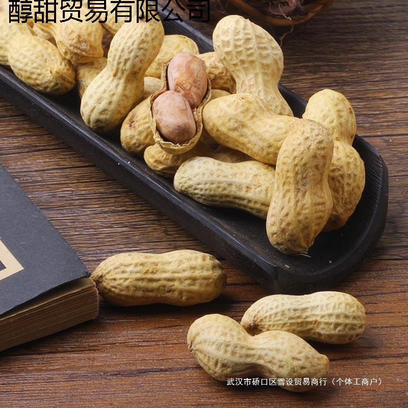 Old Street Peanuts with Garlic and Milk Flavor, Shelled Boiled Peanuts, Roasted Nuts, New Year Snacks, Appetizers, and Snacks