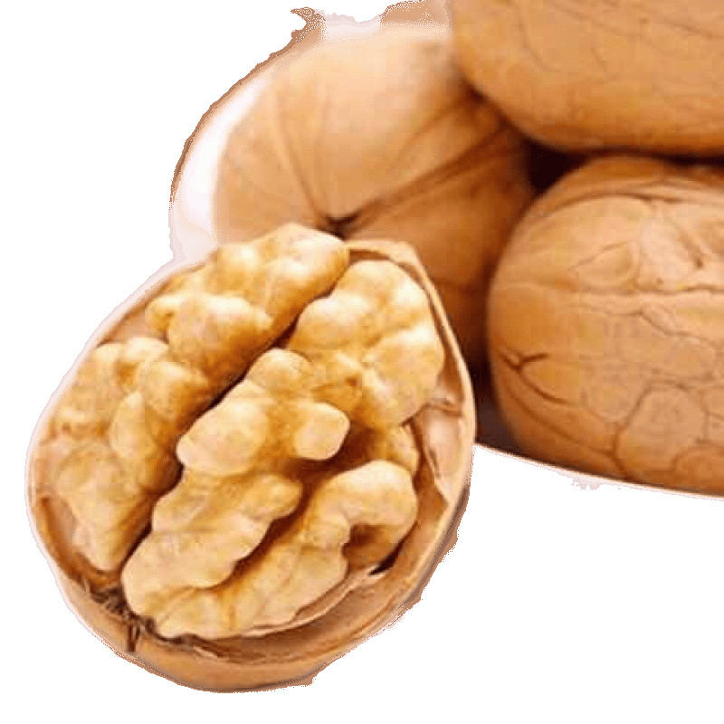 2025 New Xinjiang Paper-Skinned Walnuts Wholesale Nuts Thin-Skinned Large Walnuts Original Dried Walnut Snack Factory Wholesale