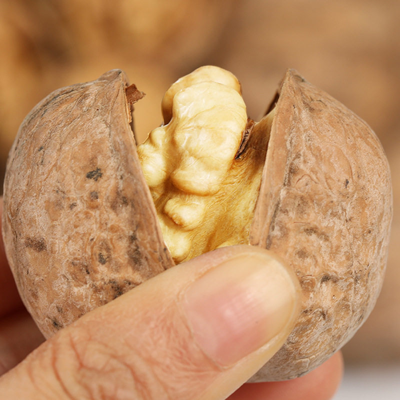 Unwashed Xinjiang 185 Original Color Paper-Skinned Walnut Snacks Dry Goods New Wholesale Original Aksu Raw Walnuts
