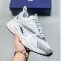 Dior silver
