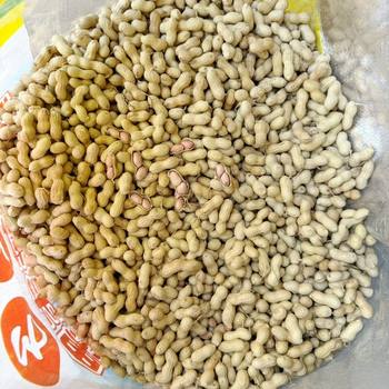 Authentic New Crop Peanuts with Shells, Fresh Small-Sized Peanuts with Shells, Selected Farm-Grown Pearl Peanuts 2.5kg