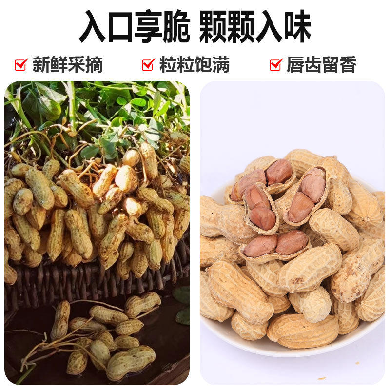 Alcoholics Peanut Series Bagged Convenience Store Supermarket Spiced Marinated Dried Garlic with Shelled Peanut Dish