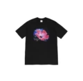 Black 842