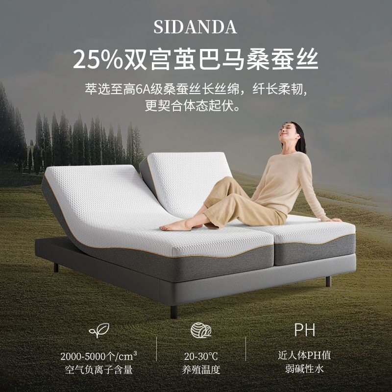 Qingwan Home Multifunctional Electric Intelligent Lifting Mattress Fully Automatic 3D Zero Gravity Massage Non-Disturbing Mattress