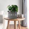 Factory Direct Sales, Professional Storage, Amazon-Supplied, Round Cotton Rope Woven Flower Pot, Toy Handle, Storage Basket, Portable