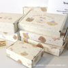 Ins Style Bear Airplane Box Packaging Card Gift Box High-Value Packaging Box Thickeneded Express Cute Flying Box